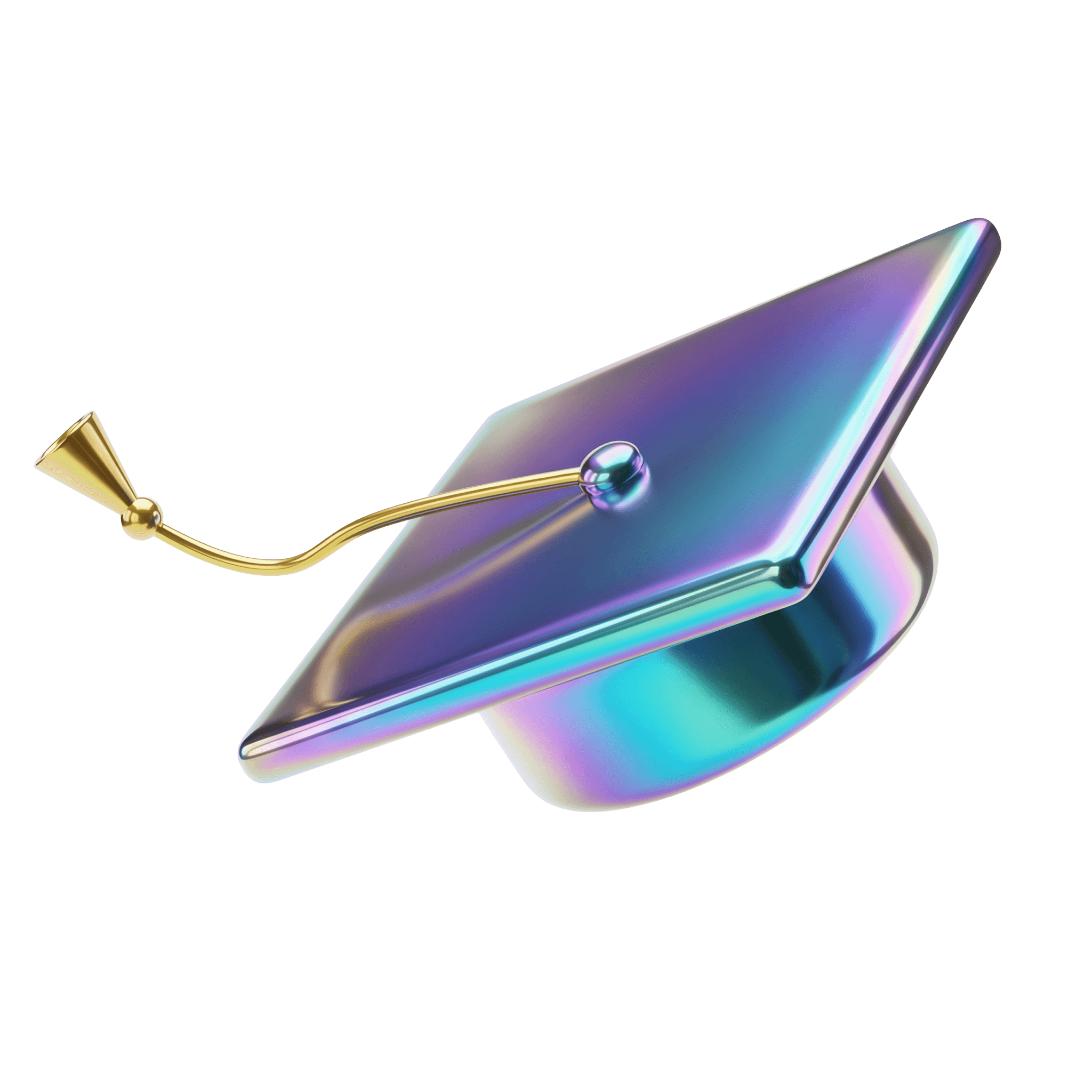 카테고리 5 이미지